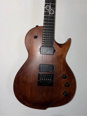 Solar E-Gitarre zu verkaufen Bild 2