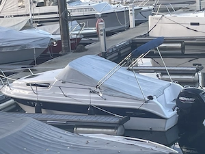 Drago 550 mit Bodenseezulassung Bild 3