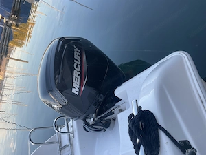 Drago 550 mit Bodenseezulassung Bild 8