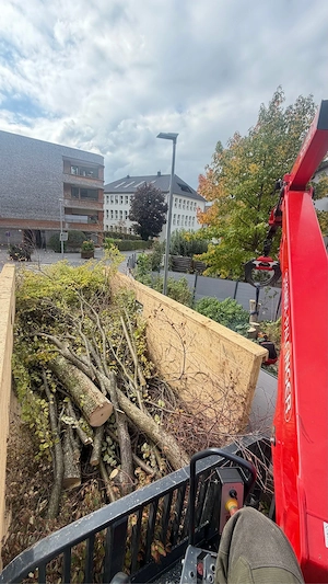 Spezialbaumfällung  Gartenarbeiten 