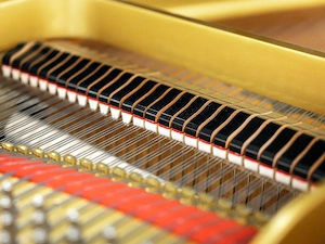 Werkstattgeprüfter YAMAHA C3 Flügel   Schwarz Hochglanz   5 Jahre Garantie   inkl. Lieferung (*) Bild 9