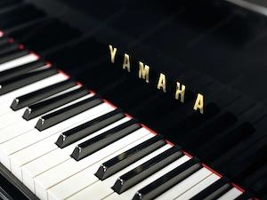 Werkstattgeprüfter YAMAHA C3 Flügel   Schwarz Hochglanz   5 Jahre Garantie   inkl. Lieferung (*) Bild 2