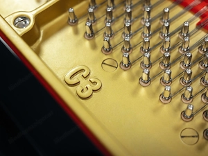 Werkstattgeprüfter YAMAHA C3 Flügel   Schwarz Hochglanz   5 Jahre Garantie   inkl. Lieferung (*) Bild 8