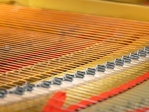 Werkstattgeprüfter YAMAHA C3 Flügel   Schwarz Hochglanz   5 Jahre Garantie   inkl. Lieferung (*) Bild 7