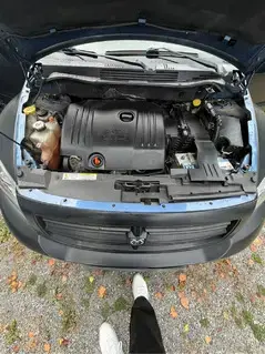 Dodge Caliber Bild 3