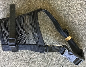 Maulkorb xs verstellbar  Bild 2