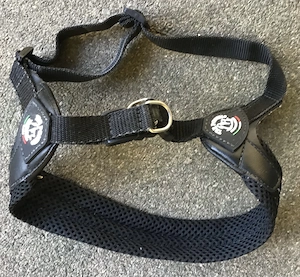Hundegeschirr für Welpen, Kleine Hunde