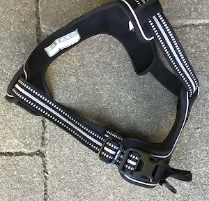 Hundegeschirr für mittelgroße Hunde Bild 2