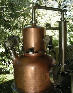 HOLSTEIN D400 Brennanlage 40 Liter  Bild 3