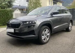 Skoda Karoq Bild 2