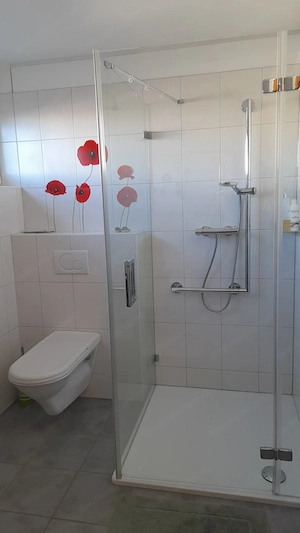 Helle Wohnung mit schönem Balkon in Lustenau zu verkaufen Bild 5