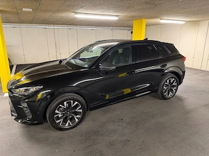 Cupra Terramar Alpha 1,5eTSI Bild 2