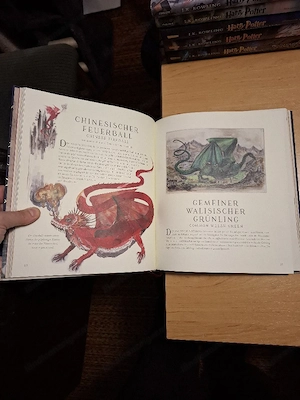Buch - Phantastische Tierwesen Bild 2