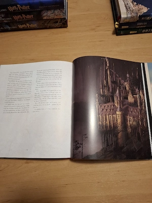 Buch - H.P. u. die Kammer des Schreckens Bild 2