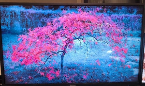 Samsung Monitor 4k Bild 3