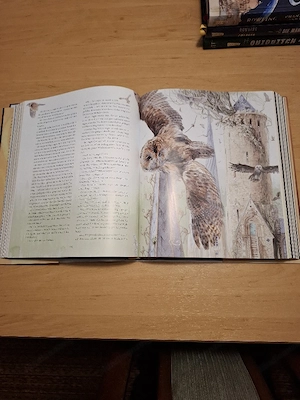 Buch - H.P. u. der Orden des Phönix Bild 2