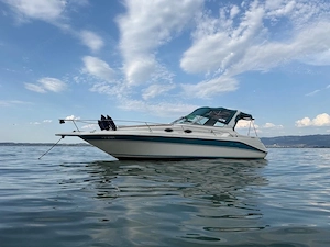 motorboot sea ray 29 sundanzer