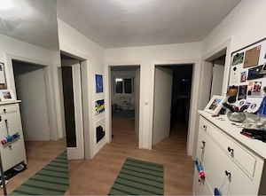 3 zimmer wohnung zu vermieten Bild 3