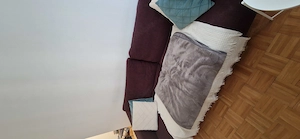 Couch - frisch gereinigt  Bild 2