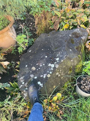 Verschenke große Findlinge  Steine  Bild 2