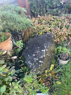 Verschenke große Findlinge  Steine  Bild 5