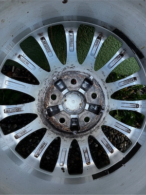 Felgen Alfa Romeo  Bild 3