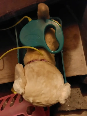 Baby Born Hund Lucky mit Funktionen Bild 2
