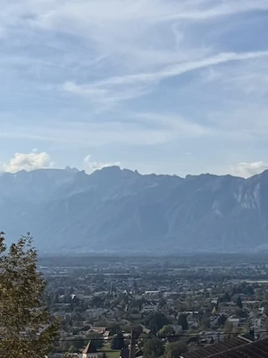 Holzhaus mit Weitblick in Batschuns zu vermieten Bild 10