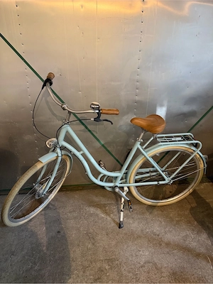Fahrrad Raleigh Brighton