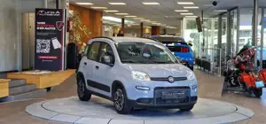 Fiat Panda Bild 3