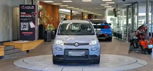 Fiat Panda Bild 2