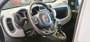 Fiat Panda Bild 11