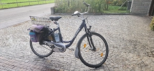 herren e bike