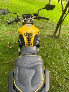 Yamaha XJ6 N  Bild 6