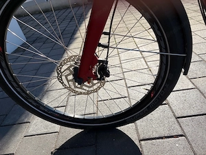 Damenfahrrad Viktoria Bild 2