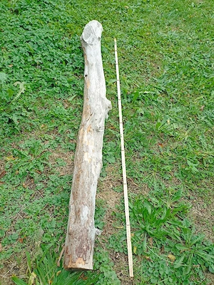 Eibenholz trocken  Bild 2