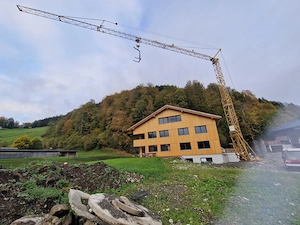 Bau Kran Potain zu verkaufen Bild 2