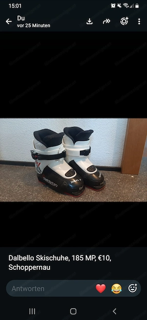 Skischuhe Dalbello
