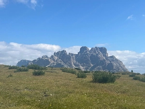 Bekanntschaften und Freundchaften Bild 3