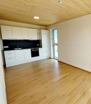 2 Zimmer Apartment im EG mit Terasse Bild 4