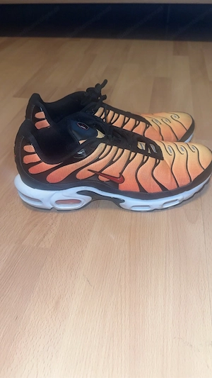 Nike TN Haifischnikes