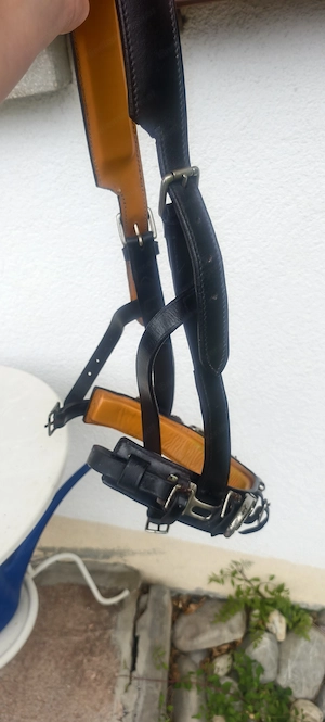 Kappzaum Massiv  Bild 5