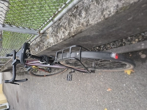 Bergamont Herren Fahrrad  Bild 3