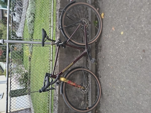 Bergamont Herren Fahrrad  Bild 6