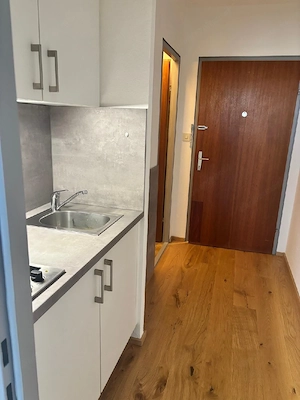 1 Zimmer Apartment  Bild 5