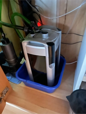 Aquarium komplett  Bild 5