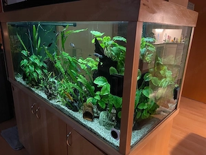 Aquarium komplett  Bild 2