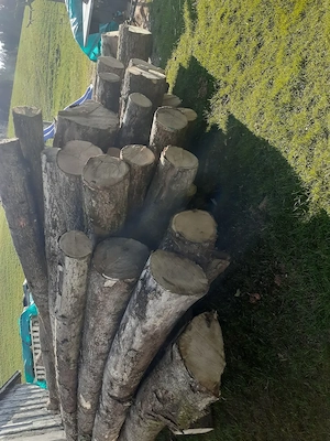 Brennholz Hartholz halbtrocken  Bild 3
