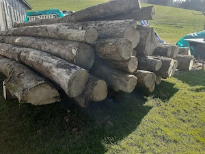 Brennholz Hartholz halbtrocken  Bild 3