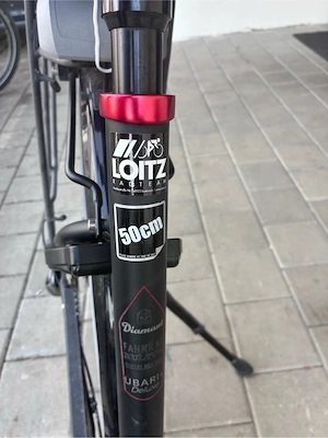 E-Bike Trekkingrad Damen Bild 4